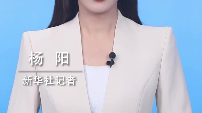 广州数据湖解决方案：构建高效数据管理的未来**